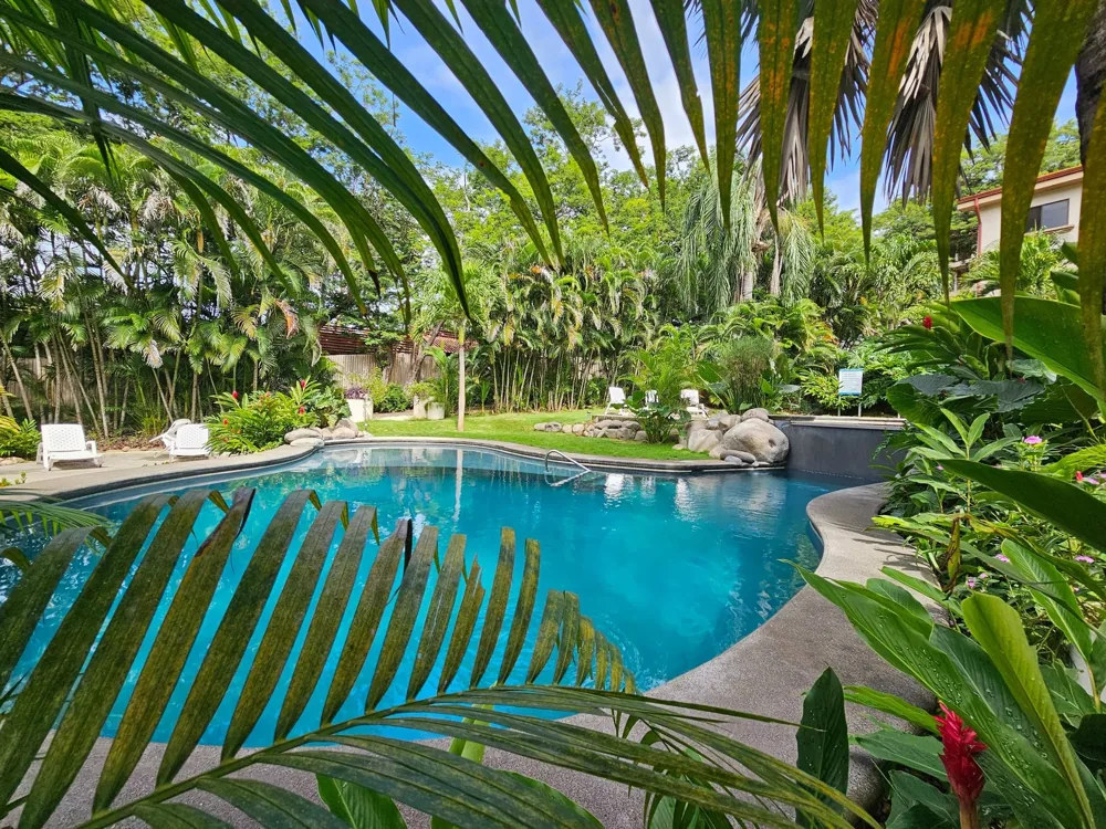 Piscina y terraza enmarcadas por palmeras en el desarrollo Serena