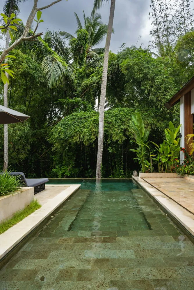 Sendero de jardín con una piscina angosta bordeada de palmeras